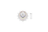 B&C Speakers ME20 – Tromba per Driver a Compressione 1"