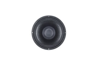 B&C Speakers 10CXN64 – Coassiale 10" – 8 Ohm – Terminali Faston