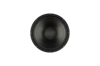 B&C Speakers 14CXN76 – Coassiale 14" – 8 Ohm – Terminali Push Button