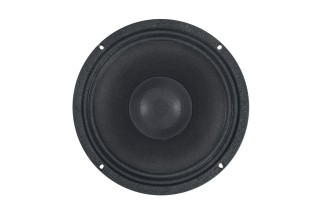 B&C 10CLX64 Coaxial 10" 8 Ohm - Terminali Faston