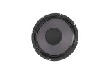 Eminence RAGIN CAJUN-16 Guitar Speaker 10" 16 Ohm