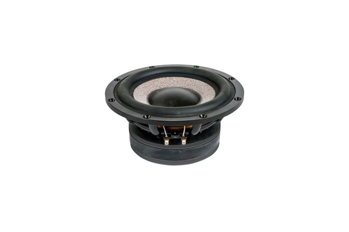 Ciare HSG200