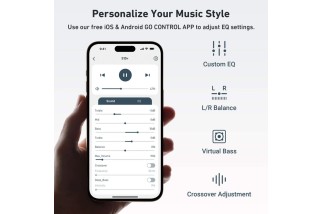 Arylic S10+ – Network Player WiFi Multiroom – Ricevitore Audio Streaming Hi-Fi