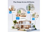 Arylic S10+ – Network Player WiFi Multiroom – Ricevitore Audio Streaming Hi-Fi