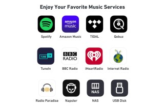 Arylic S10+ – Network Player WiFi Multiroom – Ricevitore Audio Streaming Hi-Fi