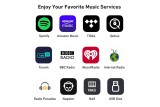 Arylic S10+ – Network Player WiFi Multiroom – Ricevitore Audio Streaming Hi-Fi