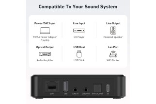 Arylic S10+ – Network Player WiFi Multiroom – Ricevitore Audio Streaming Hi-Fi