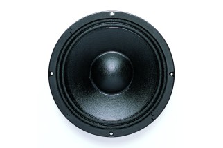 B&C 10NW64 Woofer 10” 8/16 Ohm – Terminali Push Button