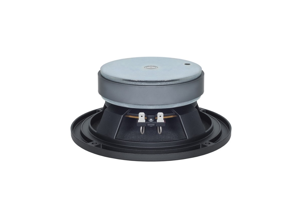 B&C 6PEV13 Midrange 6.5" 8 Ohm – Terminali Faston