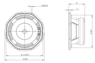 B&C 8PE21 Midrange 8" 8/16 Ohm – Terminali Faston