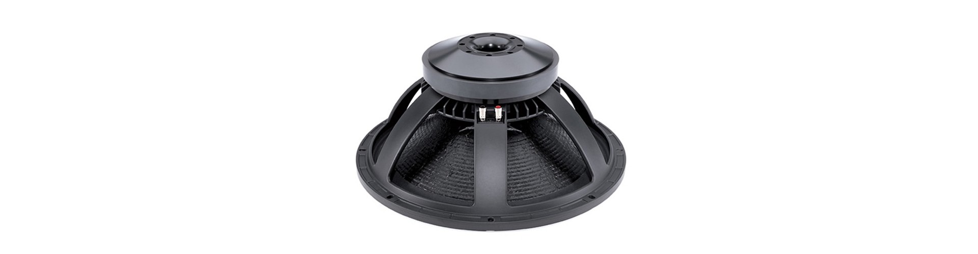 Woofer Professionali (LF Drivers)